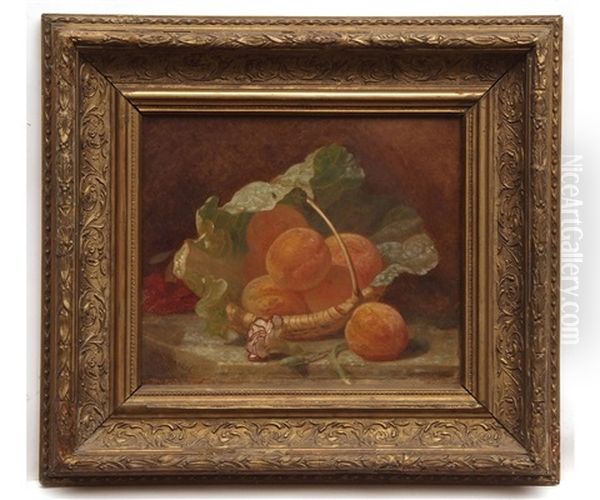 Peaches And Cabbage Leaf In A Basket - view 1
