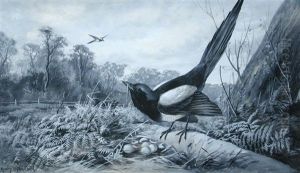 The Poacher by Henry (Harry) Stannard