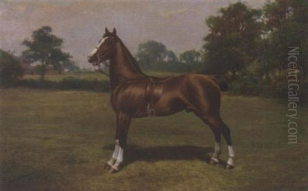 A Saddled Light Brown Hack In A Landscape - view 1