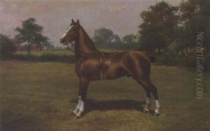 A Saddled Light Brown Hack In A Landscape by Henry John Sylvester Stannard