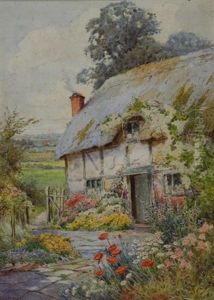The Back Garden