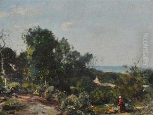 Collecting Fire Wood