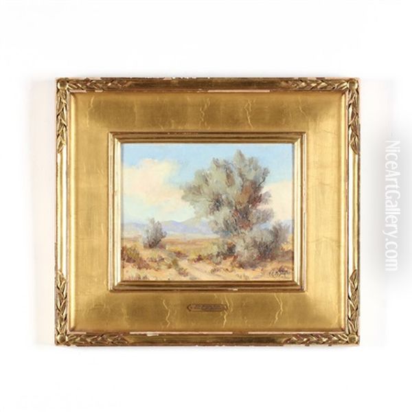The Smoke Tree - view 1