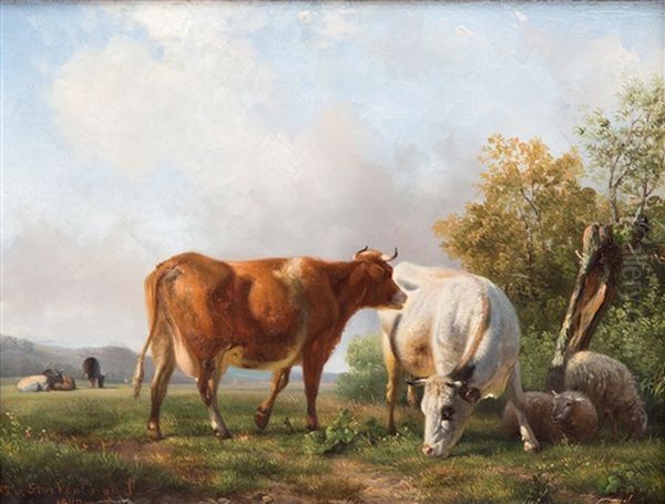 Sheeps And Cows In A Meadow - view 1