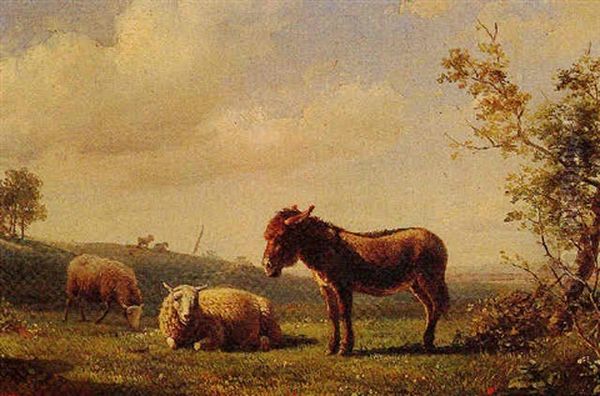 Sheep And Donkey Grazing - view 1