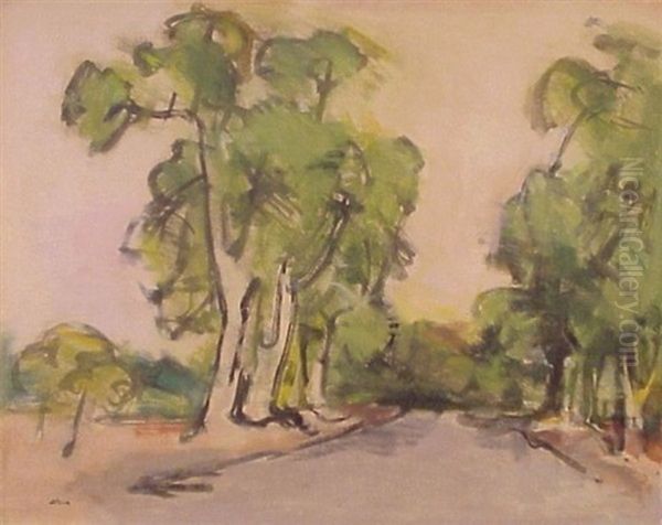 Old Road In Goleta - view 1