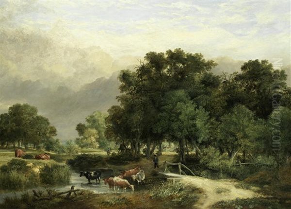 Cattle In A Wooded Landscape - view 1