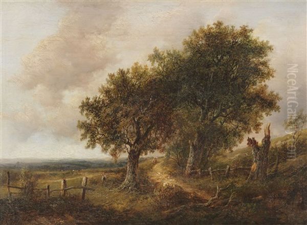 Sommerlandschaft - view 1