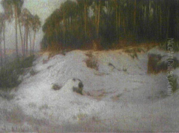 Winterlandschaft - view 1