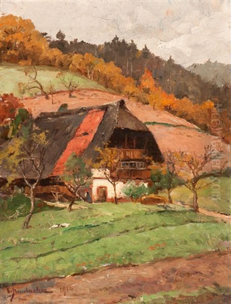 Black Forest House In An Autumn Landscape - view 1