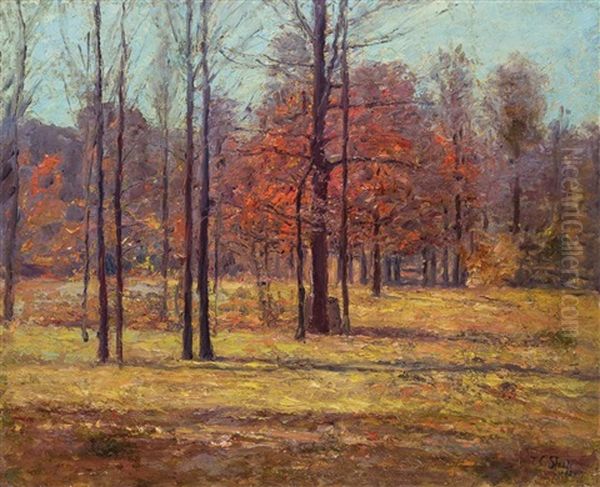 Indiana Landscape In Autumn - view 1