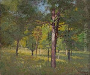 In The Woods - Summer by Theodore Clement Steele