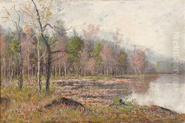 Autumn Marsh - view 1