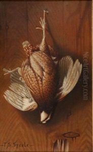 Hanging Quail by Thomas Sedgwick Steele
