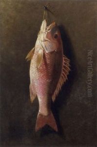Still Life Of Red Snapper by Thomas Sedgwick Steele