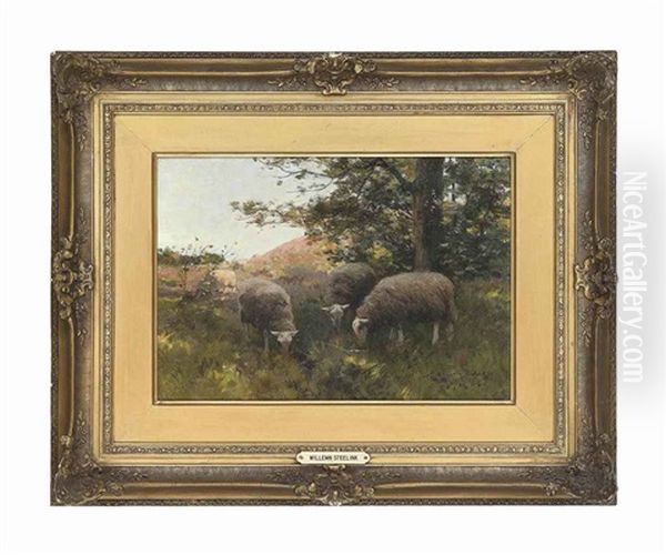 Sheep Grazing Under A Tree - view 1