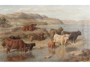 Cattle, Loch Strichen