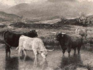 Highland Cattle, Glen Dochart