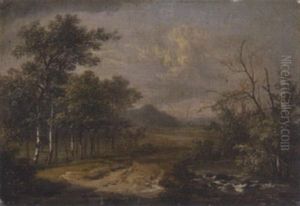 Sommerlandschaft Mit Bachlauf Und Birken