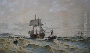 After A Storm by John Francis Branegan