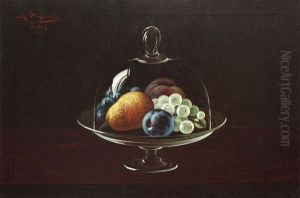 Fructe by Mihail Stefanescu