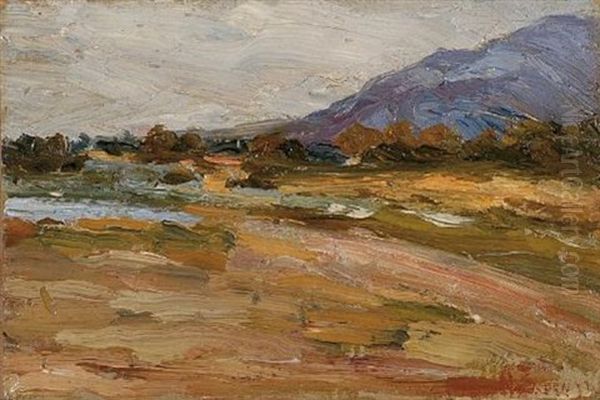 Landscape - view 1