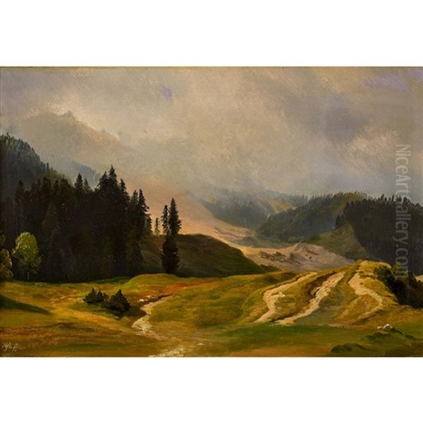 Weite Alplandschaft - view 1
