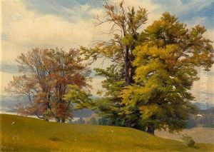 Tree Study Near Tutzing by Johann Gottfried Steffan
