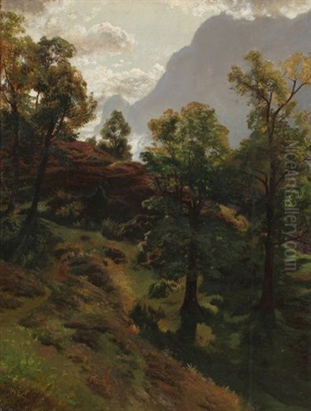 Richisau - view 1