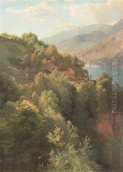 Am Walensee Bei Murg - view 1