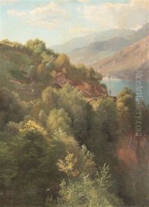 Am Walensee Bei Murg Am Walensee Bei Murg