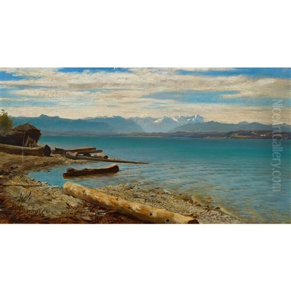 Starnbergersee - view 1