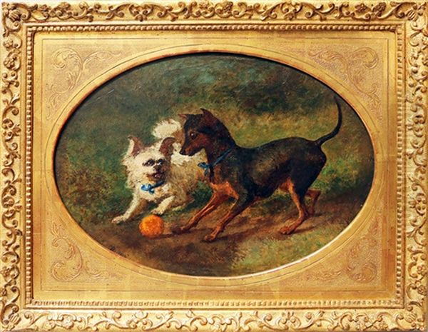 Zwei Mit Ball Spielende Hunde - view 1