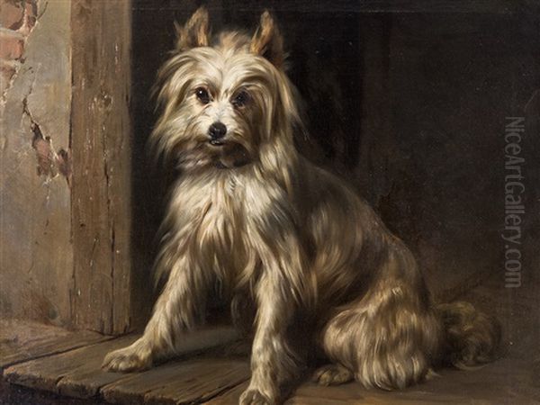 Sitting Spitz - view 1