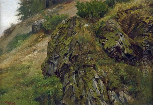 Harzlandschaft Mit Bemoosten Felsen - view 1