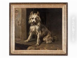 Sitting Spitz