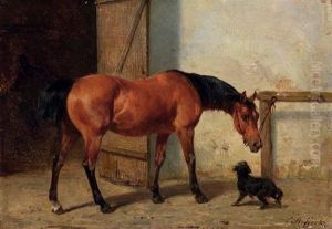Pferd Und Kleiner Hund Pferd Und Kleiner Hund