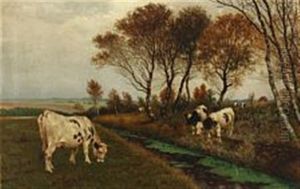 Black Pied Cows At A Creek