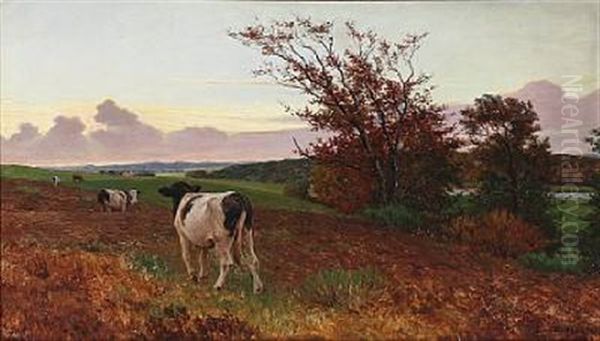 Cows In The Field At Sunset - view 1