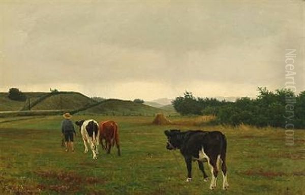 A Boy Pulling Cows On Field - view 1