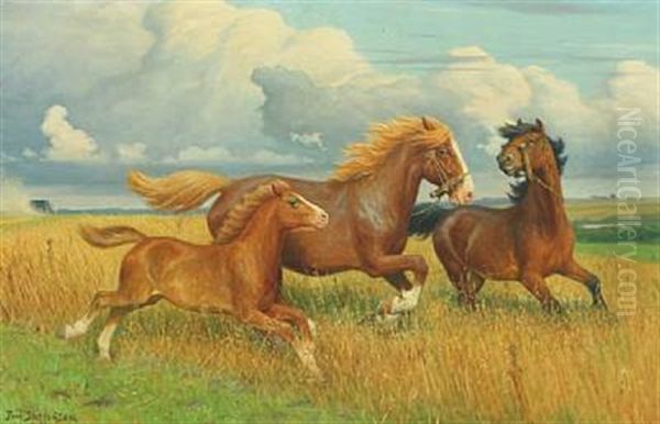 Horses In The Field - view 1