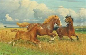 Horses In The Field by Poul Steffensen