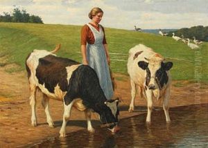 A Girl, Geese And Calves On The Field
