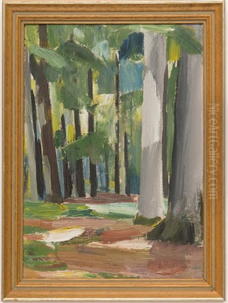 Sachsenwald - view 1