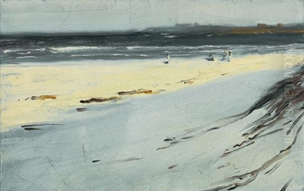 Seagulls Along The Coast - view 1