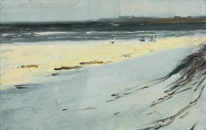 Seagulls Along The Coast by Caroline Stehlin