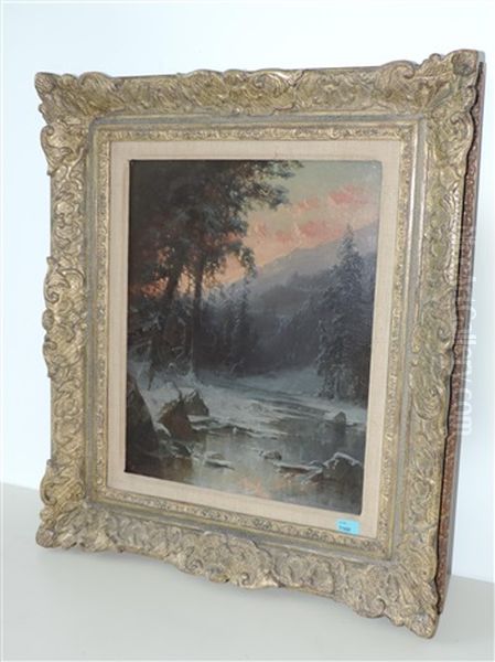 Winterlandschaft Mit Gefrorenem See - view 1