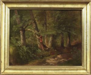 Sonnenbeschienener Waldweg Im Sommer