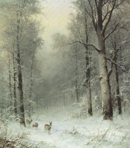 Winterliche Waldlandschaft Mit Rehen Auf Kleinem Weg - view 1