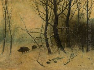 Boars